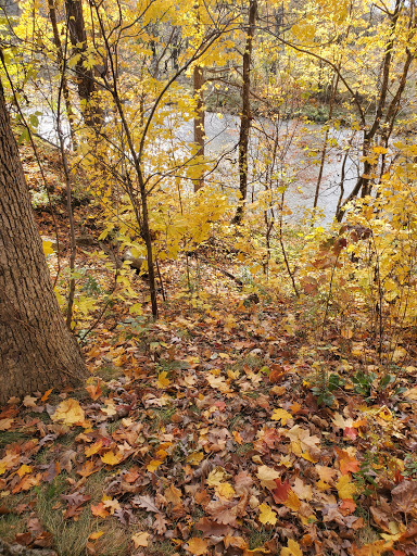 Nature Preserve «DeVries Nature Conservancy», reviews and photos, 2635 N Michigan 52, Owosso, MI 48867, USA