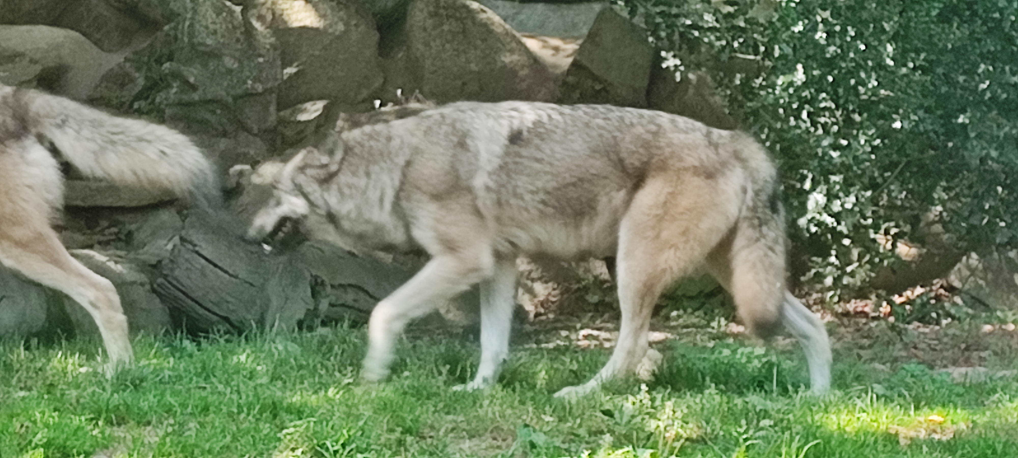 Photo n° 16 de l'avis de Thierry.i fait le 28/09/2023 à 17:40
