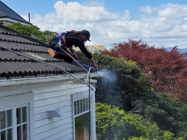 Reviews of Pest Control Services Wellington Aotearoa Limited in Gisborne - Pest control service