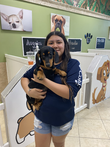 Pet Supply Store «Lil Rascals», reviews and photos, 10035 Gulf Center Dr #105, Fort Myers, FL 33913, USA