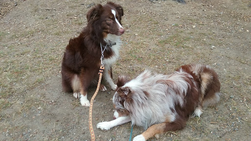 Park «Wildcat Lake County Park», reviews and photos, 9205 NW Holly Rd, Bremerton, WA 98312, USA