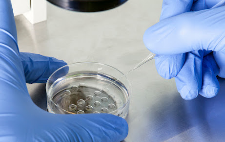 Bahçeci IVF Centers - Bahçeci IVF Centers