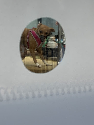 Pet Supply Store «PetSmart», reviews and photos, 7850 W Commercial Blvd, Lauderhill, FL 33351, USA