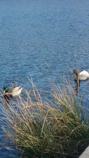 Park «Cass Park», reviews and photos, Cass Avenue, Woonsocket, RI 02895, USA