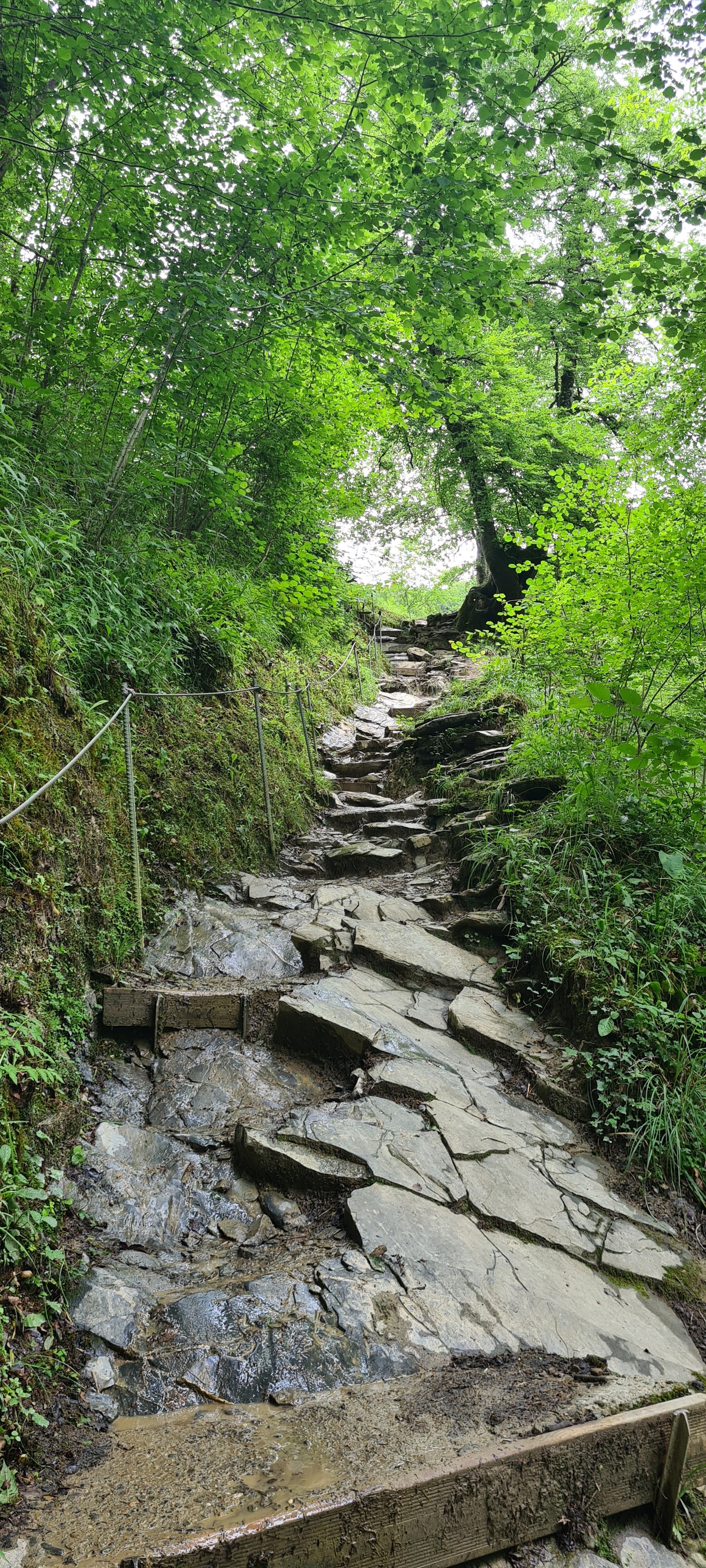 Photo n° 12 de l'avis de Nat.a fait le 02/07/2022 à 13:43