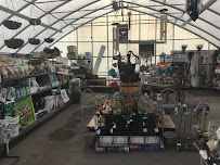 Sweetbrook Wholesale Nursery Garden Center - Photo 5 - Car repair in Staten Island, NY, Staten Island