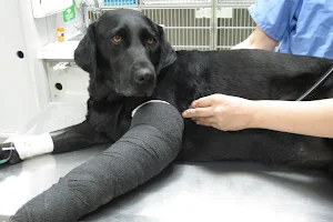 Orange County Emergency Pet Clinic image