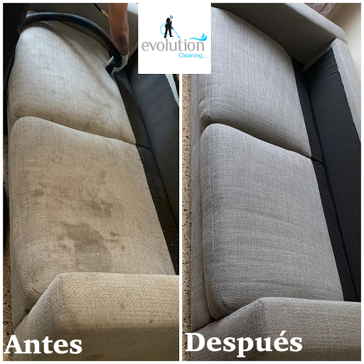 Limpieza de Muebles y Alfombras Evolution Cleaning