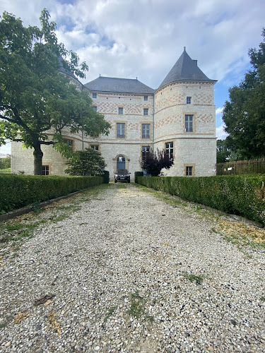 Château de Doumely à Doumely-Bégny