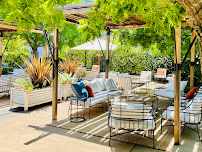 Pineapple Planet Productions - Photo 2 - Car repair in Petaluma, CA, Santa Rosa