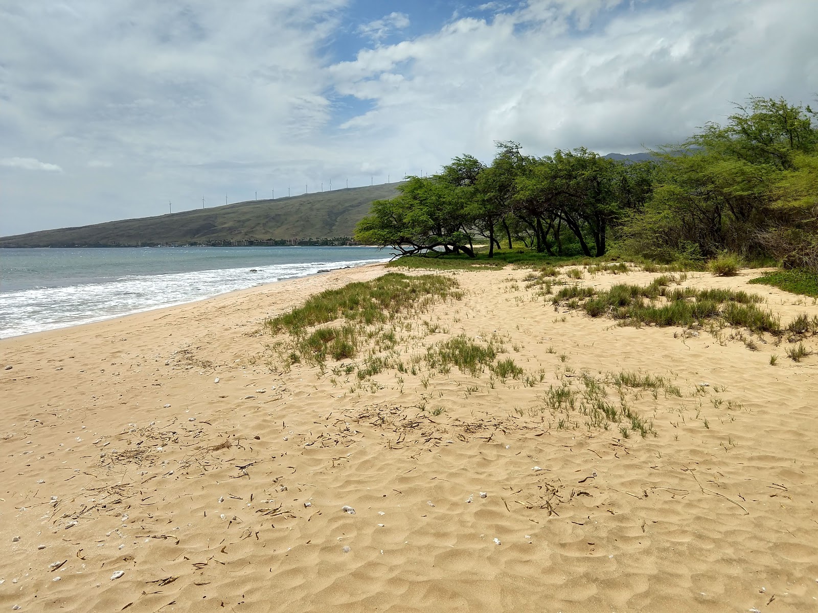 Maalaea Beach的照片 带有碧绿色纯水表面