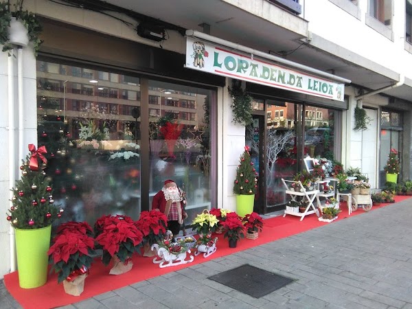 Imagen de Floristería Loradenda Leioa (1 de 8)