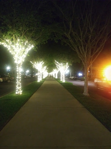 Wine Bar «The Attic Door», reviews and photos, 28 W Plant St, Winter Garden, FL 34787, USA