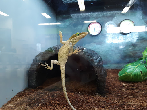 Pet Supply Store «Petco Animal Supplies», reviews and photos, 3430 W State St, Grand Island, NE 68803, USA