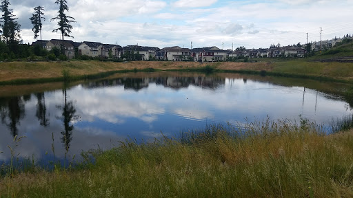 Shopping Mall «Grand Ridge Plaza», reviews and photos, 1451 Highlands Dr NE, Issaquah, WA 98029, USA