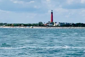 Ponce Inlet Watersports - Manatee & Dolphin Boat Tours image