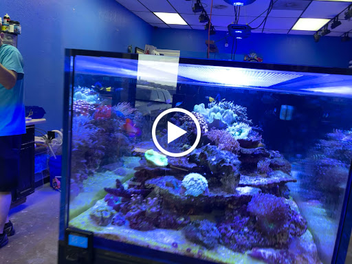 Pet Store «Corals and Fins», reviews and photos, 5011 W Hillsborough Ave, Tampa, FL 33634, USA