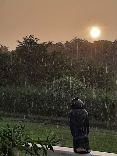 Drug Store «CVS», reviews and photos, 1601 Haven Ave, Ocean City, NJ 08226, USA