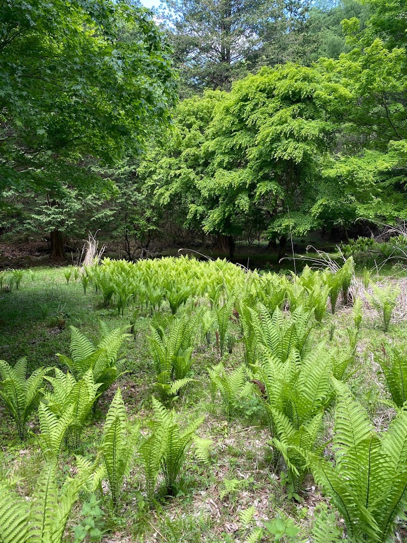 いずみ湖公園マレットゴルフ場