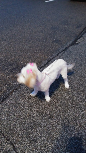 Pet Supply Store «PetSmart», reviews and photos, 7574 Voice of America Centre Dr, West Chester Township, OH 45069, USA