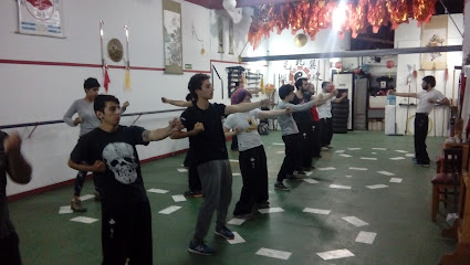Escuela De Kung Fu Tradicional Mei Hua Nucleo Yin Bagua Zhang