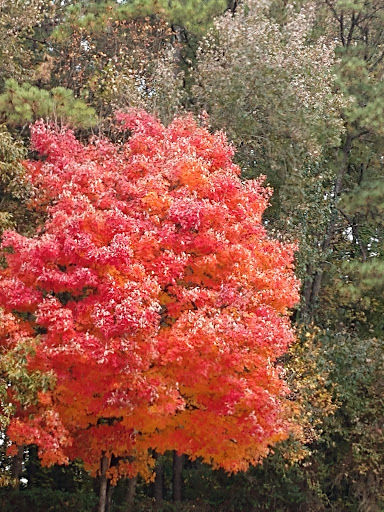 Truck Stop «TA Madison», reviews and photos, 2021 Eatonton Rd, Madison, GA 30650, USA