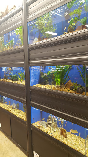 Pet Store «Super Pets», reviews and photos, 1807 E Chapman Ave, Orange, CA 92867, USA