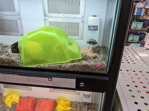 Pet Supply Store «Petco Animal Supplies», reviews and photos, 31090 Dyer St, Union City, CA 94587, USA