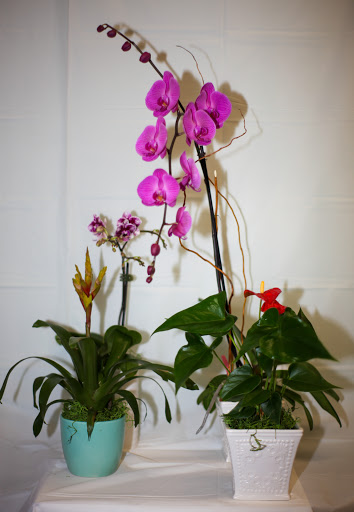 Florist «J & J Party Supplies & Flowers», reviews and photos, 15019 Roscoe Blvd, Panorama City, CA 91402, USA