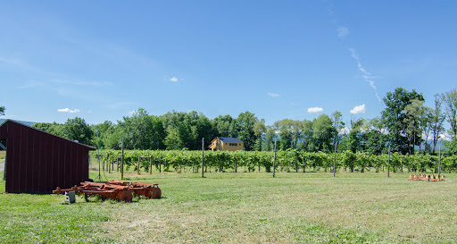 Winery «Christopher Jacobs Winery at Pennings Vineyards (Seasonally Open May-Oct)», reviews and photos, 320 Crawford St, Pine Bush, NY 12566, USA
