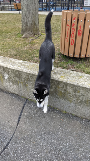 Park «Kittrel Park», reviews and photos, 120 Fisher Ave, White Plains, NY 10606, USA