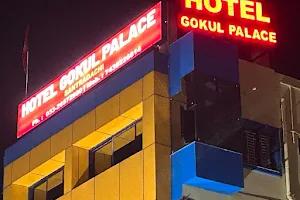 Hotel Gokul Palace image