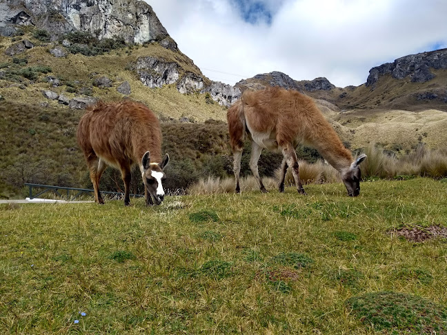 E582, Cuenca, Ecuador