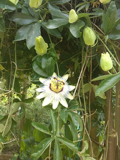 Government Office «Bear Hollow Wildlife Trail», reviews and photos, 293 Gran Ellen Dr, Athens, GA 30606, USA