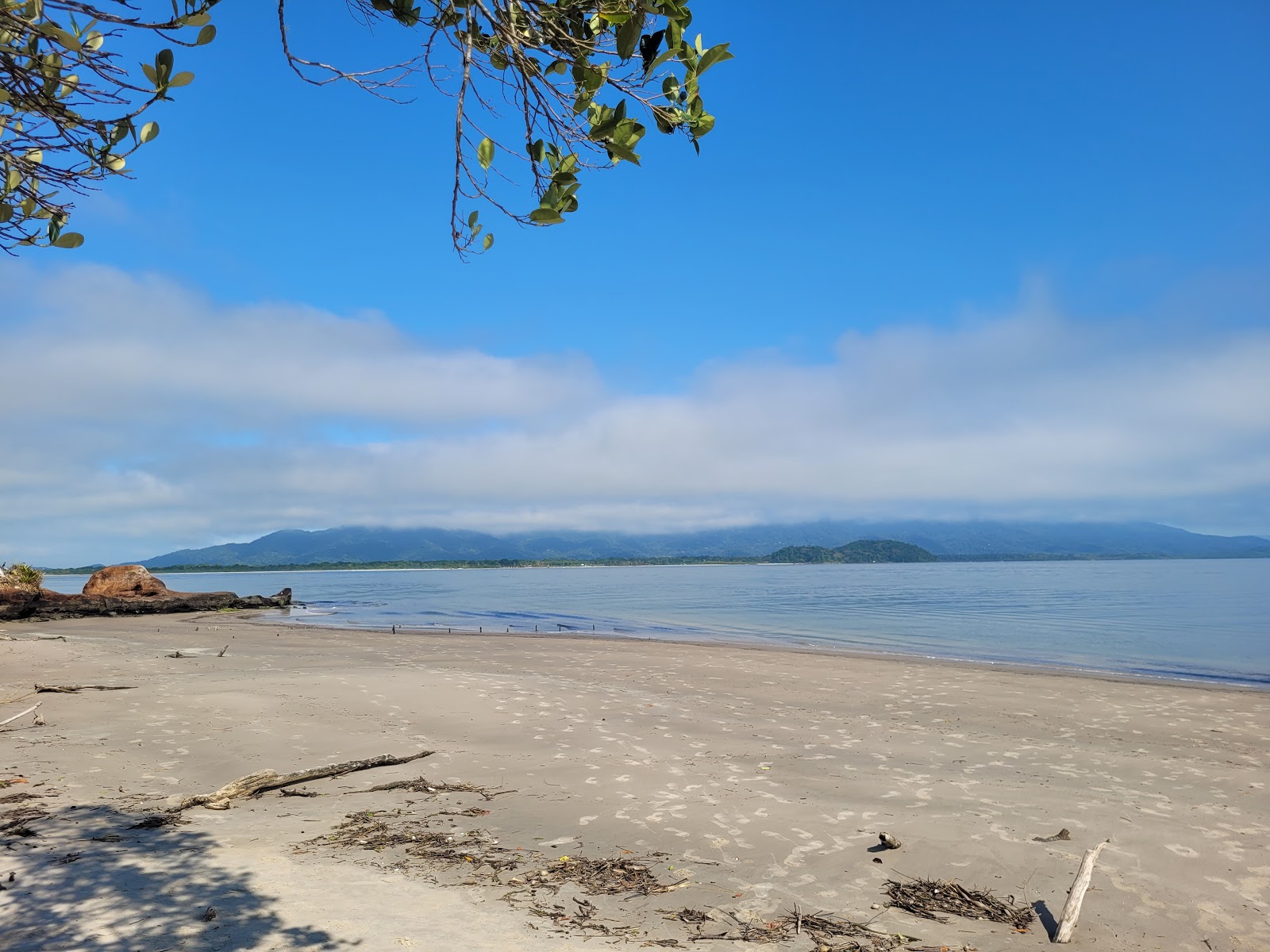 Photo de Dolphin's Bay Beach zone sauvage