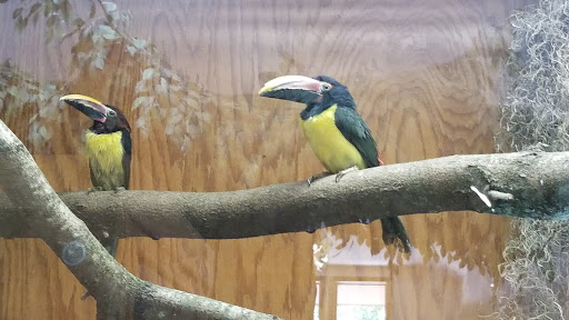 Zoo «Miller Park Zoo», reviews and photos, 1020 S Morris Ave, Bloomington, IL 61701, USA