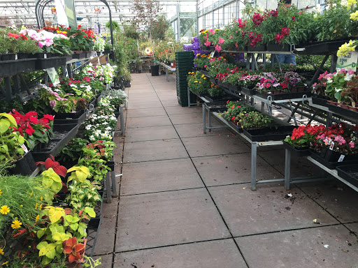 Hardware Store «Dale Hardware Inc», reviews and photos, 3700 Thornton Ave, Fremont, CA 94536, USA