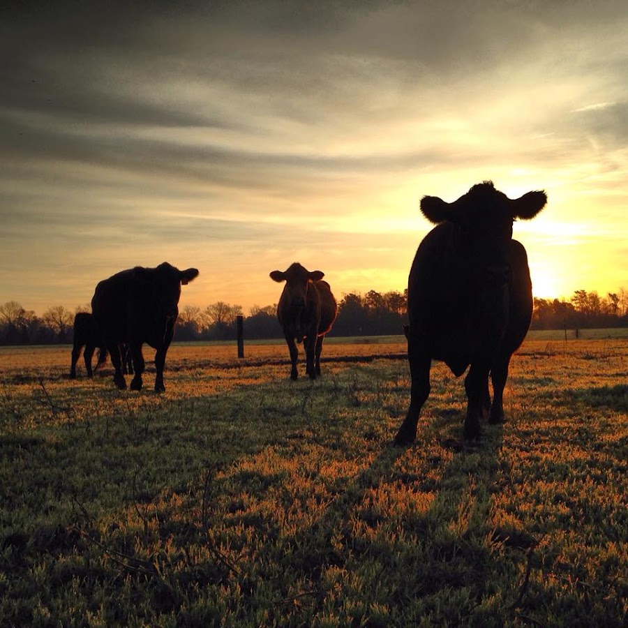 Old River Farms