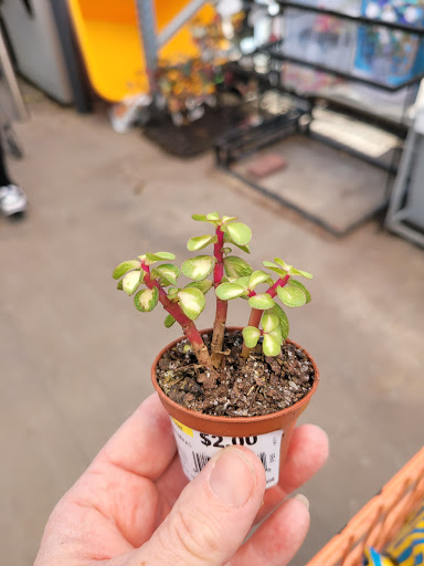 Home Improvement Store «The Home Depot», reviews and photos, 10550 Park Blvd N, Seminole, FL 33772, USA