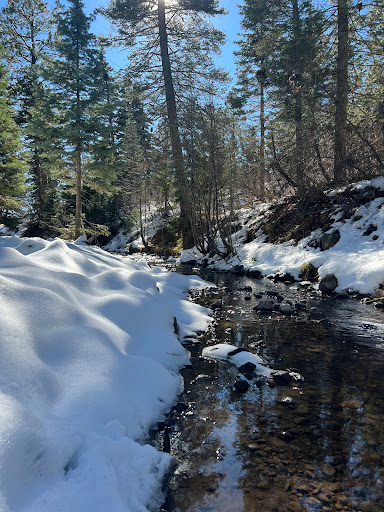 Jackson Mountain Trailhead