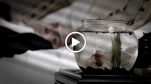 Plumber «T. Webber Plumbing, Heating, Air Conditioning & Drains», reviews and photos, 3365 U.S. 9, Cold Spring, NY 10516, USA