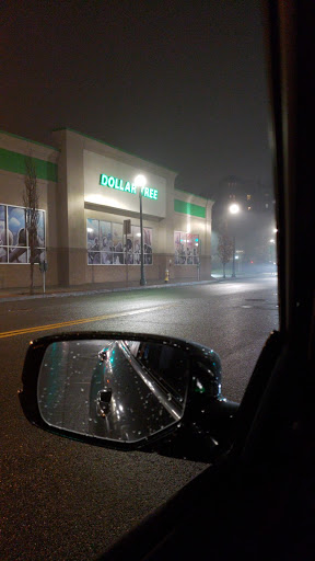 Dollar Store «Dollar Tree», reviews and photos, 435 North Ave, New Rochelle, NY 10801, USA