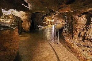 Linville Caverns, Inc image