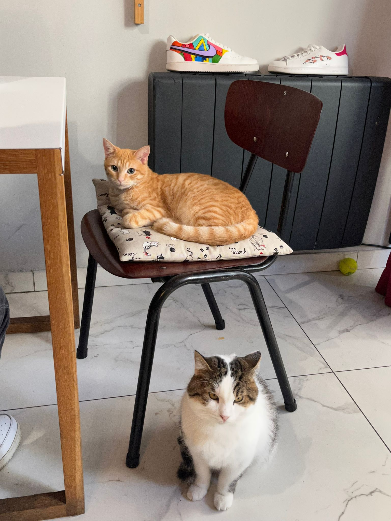 Photo n° 2 de l'avis de Molly.i fait le 18/11/2022 à 13:51