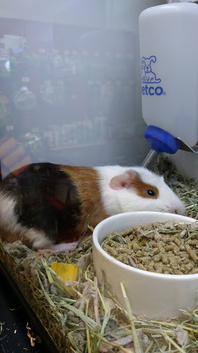 Pet Supply Store «Petco Animal Supplies», reviews and photos, 1090 Fort Union Blvd, Midvale, UT 84047, USA