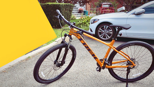 Bicycle Store «Pelham Bicycle Center», reviews and photos, 109 Wolfs Ln, Pelham, NY 10803, USA