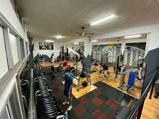 Acropolis Gimnasio en La Orotava, Santa Cruz de Tenerife