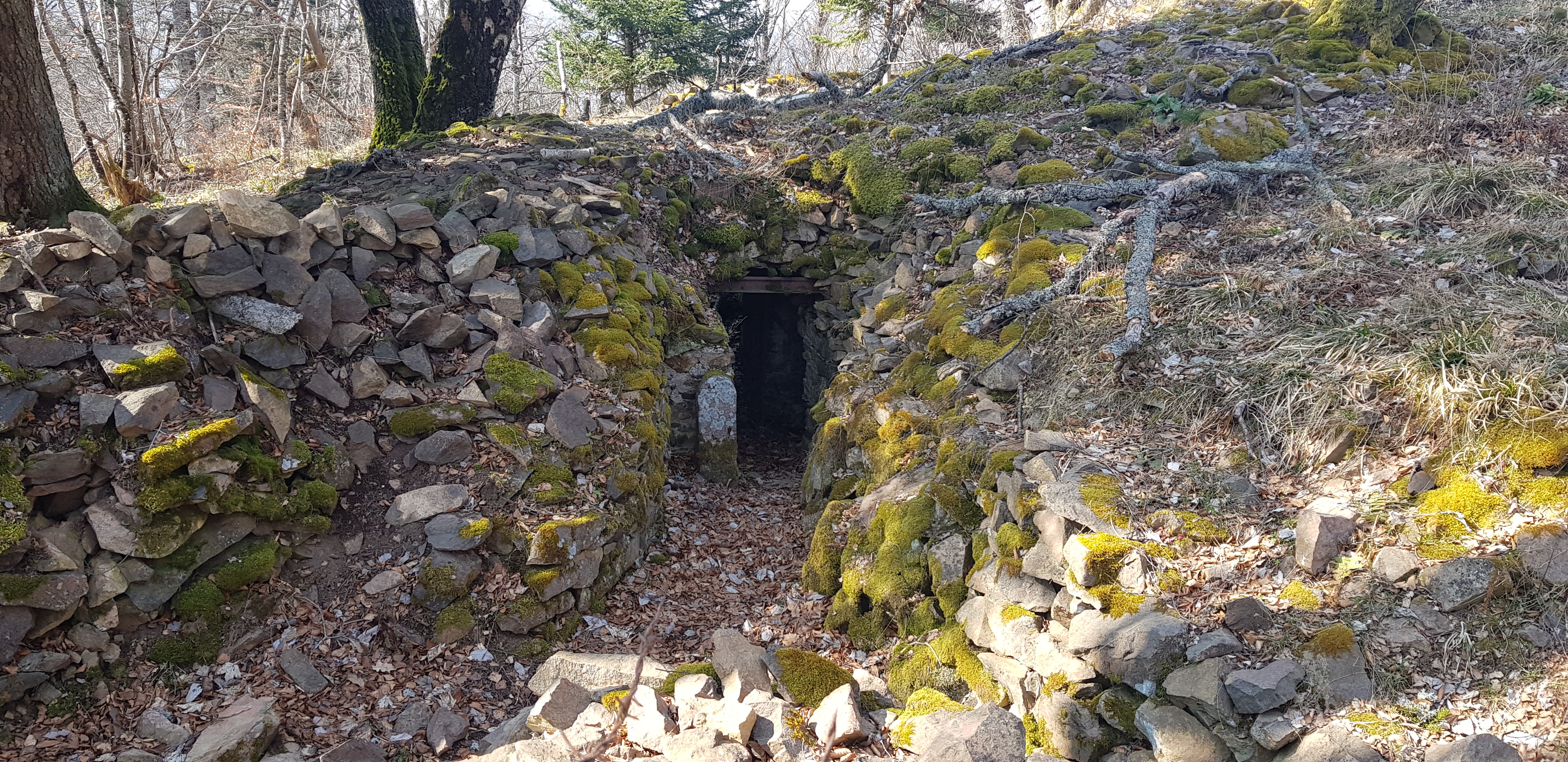 Photo n° 5 de l'avis de Alex.t fait le 22/03/2022 à 18:40