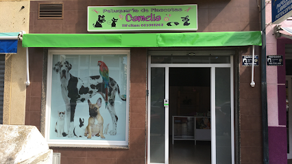 Peluquería de Mascotas Camelia - Servicios para mascota en Córdoba