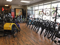 Trek Bicycle Store of Pensacola - Photo 2 - Car repair in Pensacola, FL, Pensacola